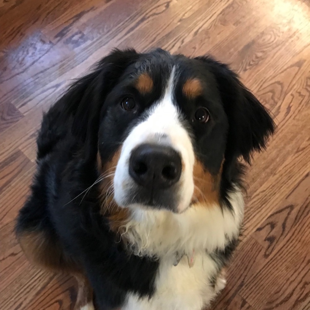 Meet your Posher, Andrew